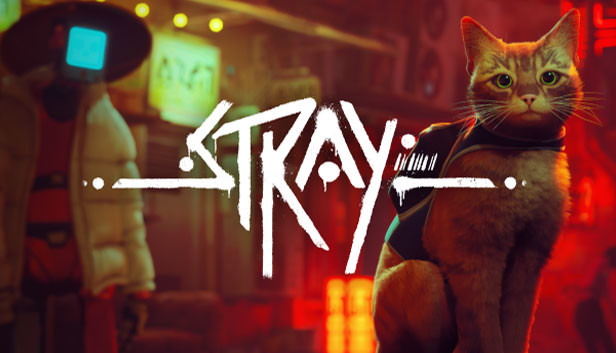 stray1